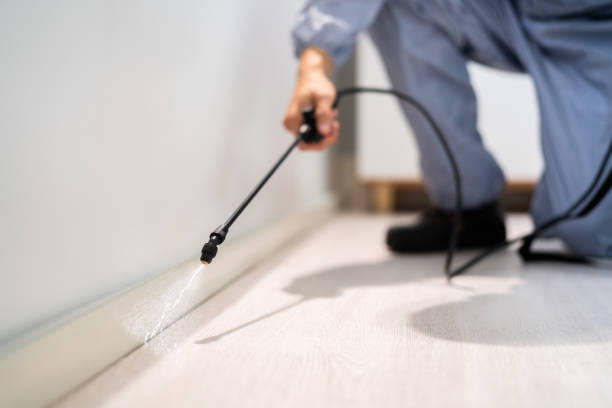 Licensed Fumigation Services service in Laymantown, VA - Nex Pest Control