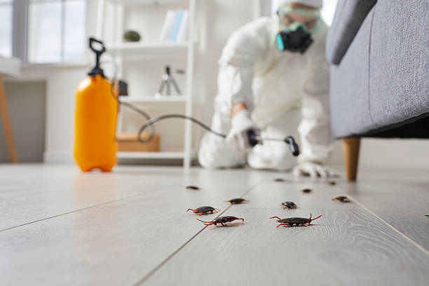 Trusted Emergency Pest Control service in Laymantown, VA - Nex Pest Control