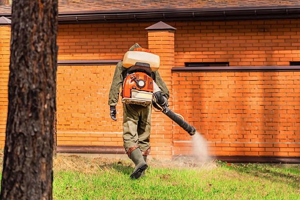 Trusted Ant Control service in Laymantown, VA - Nex Pest Control